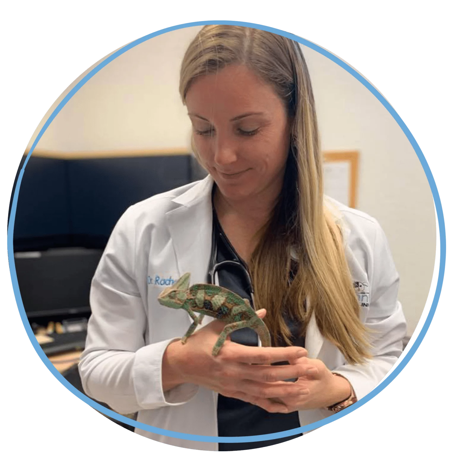 Veterinarian & Animal Hospital in Lakeland, FL Call Us Today