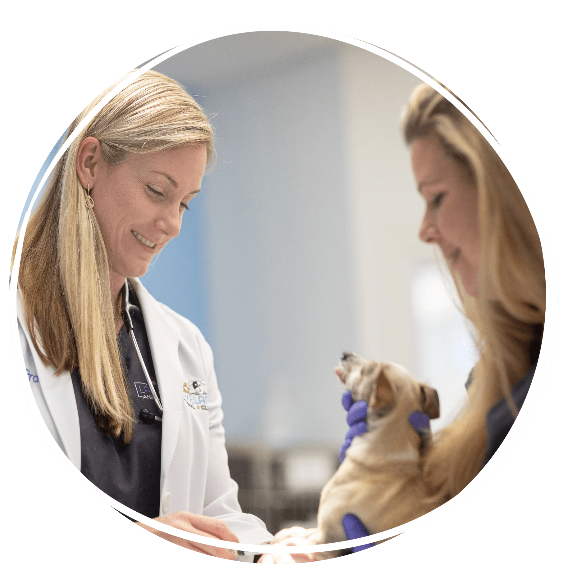 dog vaccinations in lakeland, fl