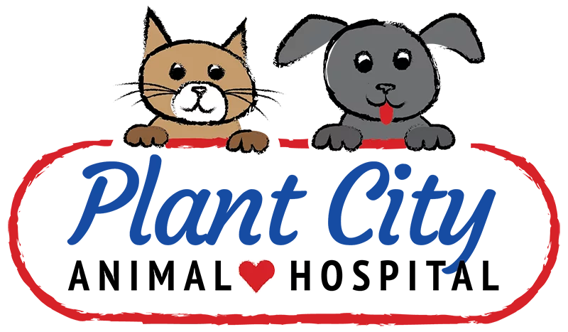 Plant City Logo